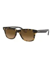 [Ray-Ban] RB4640 Brown Polarised Sunglasses