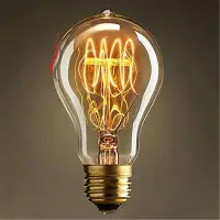 在飛比找蝦皮購物優惠-A19 白熾燈泡老式愛迪生燈泡 E27 古董燈透明玻璃 40