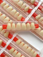 Acrylic Resin False Teeth Accu-tone Anterior Upper A3/67-136 dentures box 120pcs