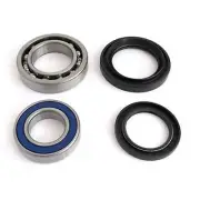 EPI Wheel Bearing Kit - WE301431 WE301431