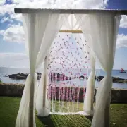 6 Yards 120" Wide Voile Chiffon Fabric Sheer Draping Drape Panel Wedding SALE*