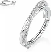 [Yrogcu] 20G 18G 16G 14G Single/Double Hoop Stainless-Steel Seamless-Hinged-Piercing Segment-Clicker Nose-Ring-Hoop : Diameter 6mm 8mm 10mm 12mm Cartilage Earrings