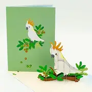 Cockatoo & Macadamia 3D Pop Up Card, Australia Theme, Birthday Occasion