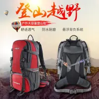 在飛比找Yahoo!奇摩拍賣優惠-新品 駱駝登山包雙肩男女防水戶外騎行野營旅游背包40L50L