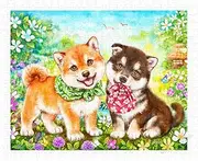 Pintoo Jigsaw Puzzles 500 Piece for Adults - Kayomi - Shiba Puppies' First Errand Beautiful Plastic Puzzle for Home Decor Zero Dust Easy Storage [H2281]