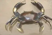 age MUD CRAB solid brass aged bronze heavy decoration stunning 21 cm hand made B