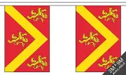 ANGLESEY BUNTING 9 metres 30 flags Polyester flag WALES WELSH HOLYHEAD