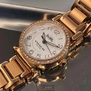 COACH手錶, 女錶 24mm 玫瑰金圓形精鋼錶殼 白色簡約, 時分秒中三針顯示, 鑽圈錶面款 CH00060