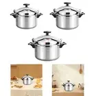 Aluminum Alloy Pressure Cooker Mini Pressure Canner for Family Home Kitchen