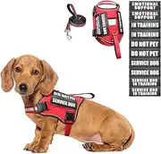 WINSEE Small Dog Harness & Leash Set, Red, X-Small, Nylon, Emotional Support Therapy Vest with 10 Patches, Breathable, Adjustable, for Service Dog Training