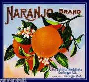 Naranjo Tulare County Antelope Heights Orange Citrus Fruit Crate Label Art Print