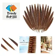20pcs Female Pheasant Feather Natural Ringneck Tails Feathers 12-14inch 30-35...