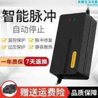 在飛比找露天拍賣優惠-雅迪電動鉛酸蓄48v12a充電器簡易電動機車通配60v20a