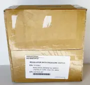 Industrial Scientific 18105841 Demand Flow Regulator + i/Gas Switch - DSX *NEW*