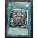 遊戲王 YUGIOH 洗腦 浮雕 TLM-JP038 美品