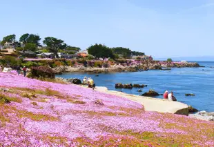 海風屋舍旅館