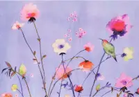 在飛比找博客來優惠-Lavender Wildflowers Note Card
