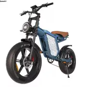 20" Electric Bicycle 1500W Dual Motors ‌48V 23Ah E-Bike 80km PAS Range MTB Ebike