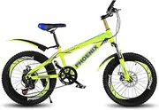 WWCEEM Children's Mountain Bike Infinitely Variable Speed Bicycle Street Street Children's Bicycle Boy and Girl Travel Bicycle
