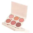 6 Color Blush Palette Women Makeup Contour Highlight Matte Face Blush Powder SD0