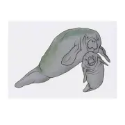 'Manatee Mother & Calf' Temporary Tattoos / Transfers (TO00041940)