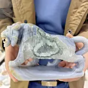 2.61lb Rare Natural Geode Agate Quartz Carved Tiger Skull Crystal Healing Decor
