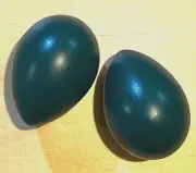 NEW GREEN DELUXE PAIR OF RYTHM PERCUSSION EGG SHAKERS!!!