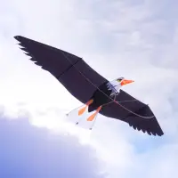 在飛比找momo購物網優惠-【888ezgo】3D立體白頭鷹造型風箏（美國老鷹）（2米前