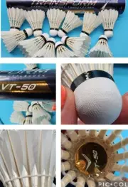 12 Pcs VT-50 Transform Premium White NEW Feather Shuttlecocks Badminton