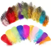 Colorful Feathers 2 Style Craft Feathers 420Pcs for Handmade DIY Wedding Family