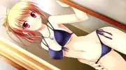 Anime girls francesca bathory visual novel bikini long Playmat Game Mat Desk