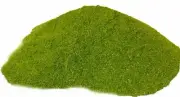 5kg NEEM Leaf Powder 100% PURE natural Herbs Herbal Tea FAST FREE SHIPPING