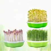 Garden Hydroponic Peanut Sprout Box Bean Pea Wheat Seedling Sprouter Tray Gra L√