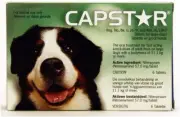 for Dogs 11.1-57 Kgs - 6 Pack (1 Box) - Green - Flea Control Tablets
