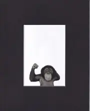 8X10" Matted Print Art Picture Childs Kids Room: Chimp Monkey Making Muscle
