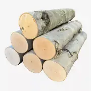 White Birch Log Set for Fireplace