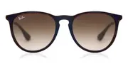 Ray-Ban RB4171 Erika 631513 Women Sunglasses