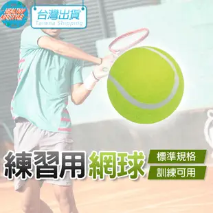 網球 一般網球 硬式網球 特波士 練習球 練習用球 訓練用 壁球 4311 成功 SUCCESS 運動 體育 電子發票
