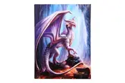 Anne Stokes Treasure Trove Dragon Canvas Plaque (Multicoloured) (One Size)