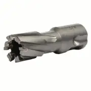 Walter 05H012 3/4"x1" Depth CARBIDE CORE CUT Annular Core Cutter Universal Shank
