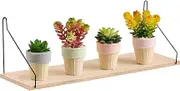 Bvizyelck Wall Display Shelf | Rustic Solid Wood Floating Shelf for Plant - No Drilling Rack Storage Decoration for Collectibles Pictures Ornaments