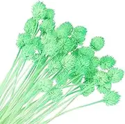 uxcell 16 Inch Dried Flowers for Vase, 30 Pcs Mini Pine Ball Flowers Natural Bouquet Bulk Fall Dried Pine Ball Naturally for Home Wedding Bridal Decor Party, Green(Stem)