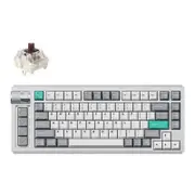 Keychron Lemokey L1 QMK/VIA Fully Assembled Knob Wireless Custom Gaming Space Silver Keyboard - Gateron Jupiter... [LEMOKEYL1X3]