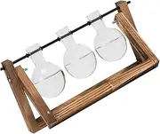 Generic 3pcs Hydroponic Vase with Wooden Holder Modern Terrarium Stand Glass Planters for Indoor Plants Easy Assembly Temperature Resistant Design Present for Home Office