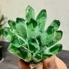 290G New Find green PhantomQuartz Crystal Cluster MineralSpecimen