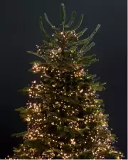 1000LED 14.5M Warm White Cluster Xmas Party Fairy Lights 8 Functions & Memory