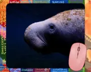 Cute MANATEE mouse pad
