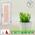【君沛植物燈】LED植物燈 植物 燈板 紅藍混光 植物光譜  磁吸式 植物燈版 20瓦