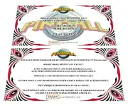 Stern Pinball Pinball Custom Apron Instruction Cards Hi Resolution v2