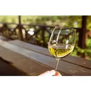 Save 20.00%! 8 Hours Private Tour from Cape Winelands to Franchhoek